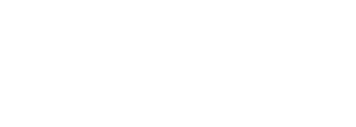 Fanatics Auctions