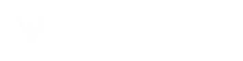 Government Auction