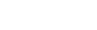 Morphy Auctions